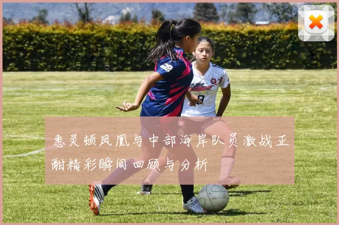 惠灵顿凤凰与中部海岸队员激战正酣精彩瞬间回顾与分析
